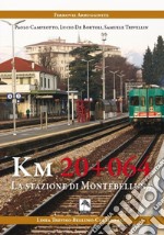 Km 20+064. La stazione di Montebelluna