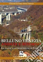 Belluno Venezia andata e ritorno. Le nuove elettrificazioni in Veneto. Nuova ediz.