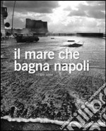 Il mare che bagna Napoli libro