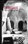 Phlegraios. L'ultimo segreto di san Paolo libro