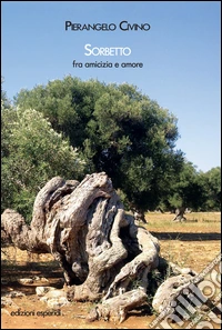 Sorbetto. Fra amicizia e amore libro