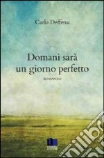 Domani sarà un giorno perfetto libro