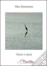 Versi r-versi