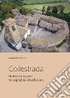 Collestrada. Storia di un paese tra ospitalità ed esclusione libro