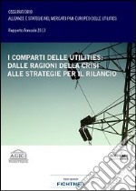 I comparti delle utilities. Dalle ragioni della crisi alle strategie per il rilancio libro