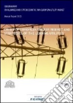 Crisis of european energy market and strategies of the leading utilities libro