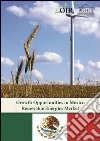 Growth opportunities in Mexican renewable energy market libro