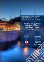 The new energy world. Strategies of the 42 gas&power leaders in Europe libro