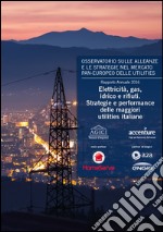 Eletricità, gas, idrico e rifiuti. Strategie e performance delle maggiori utilities italiane libro