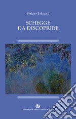 Schegge da discoprire libro