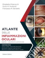 Atlante delle infiammazioni oculari. Ediz. per la scuola. Vol. 1: Segmento anteriore