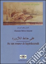 Su un muro di lapislazzuli. Ediz. multilingue libro