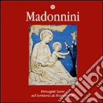 Madonnini. Immagini sacre nel territorio di Montevarchi. Ediz. illustrata libro