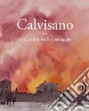 Calvisano. Tra arte, architettura e paesaggio. Ediz. illustrata libro