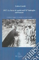 1917. Le forze di sanità nell'11° battaglia sull'Isonzo