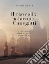 Il risveglio di Jacopo Canegatti libro