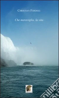 Che meraviglia, la vita libro