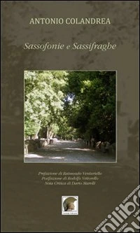Sassofonie e sassifraghe