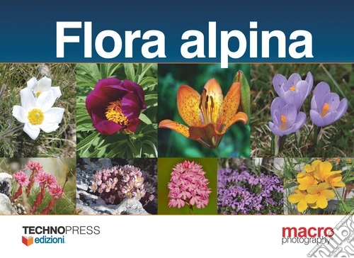 Flora alpina