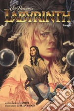 Labyrinth libro