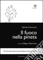 Il fuoco nella pineta libro