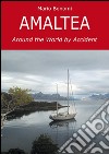 Amaltea. Around the world by accident libro di Bonomi Mario