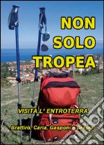 Non solo Tropea... Visita l'entroterra (Brattirò, Caria, Gasponi, Drapia) libro