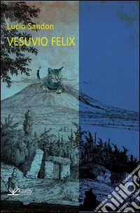 Vesuvio felix libro