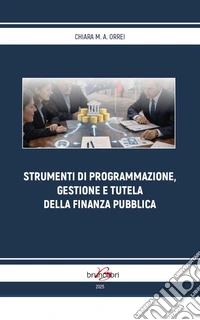 Strumenti di programmazione, gestione e tutela della finanza pubblica libro