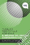 Pubblico territoriale aziendale. Il welfare del Gruppo Cooperativo CGM libro