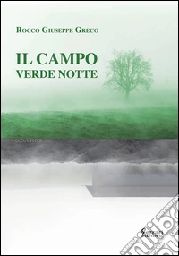 Il campo verde notte