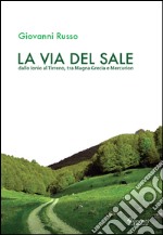 La via del sale. Dallo Ionio al Tirreno. Tra Magna Grecia e Mercurion libro