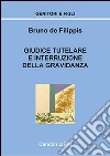 Giudice tutelare e interruzione della gravidanza libro