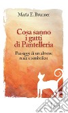 Cosa sanno i gatti di Pantelleria. Paesaggi di un altrove reale e simbolico libro