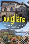 Avigliana, il borgo medioevale, il cuore verde e i suoi dintorni libro