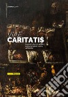 Viae Caritatis. Itinerario storico-artistico nei luoghi della sanità a Palermo libro di Brignone Daniela