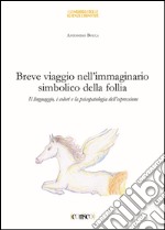 Breve viaggio nell'immaginario simbolico della follia. Il linguaggio i colori e la psicopatologia dell'espressione