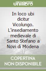 In loco ubi dicitur Vicolungo. L'insediamento medievale di Santo Stefano a Novi di Modena libro