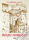 Picinate e scemmarate libro