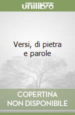 Versi, di pietra e parole libro