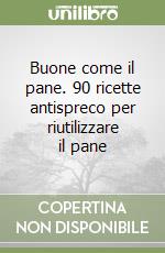 Buone come il pane. 90 ricette antispreco per riutilizzare il pane libro