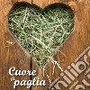 Cuore di paglia libro