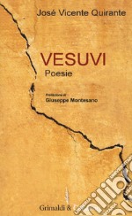 Vesuvi. Testo spagnolo a fronte libro