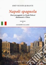 Napoli spagnola. Dieci passeggiate tra strade, palazzi, monumenti e chiese libro