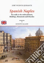 Spanish Naples. Ten walks in the midst of streets, buildings, monuments and churches libro