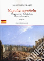 Nápoles española. En diez paseos entre calles, palacios monumentos e iglesias libro