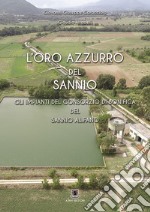 L'oro azzurro del Sannio. Gli impianti del consorzio di bonifica del Sannio Alifano. Ediz. per la scuola