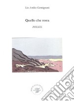 Quello che resta libro