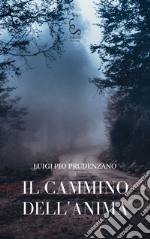 Il cammino dell'anima libro