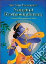 Namámi Krisnasundaram. L'essenza dell'insegnamento di Krisnasunbdaram libro